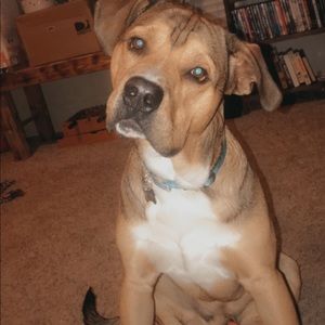 Meet your Posher, Amber